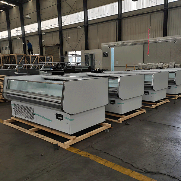 Coolssmann-Refrigeration-Workshop-CHEBT094H