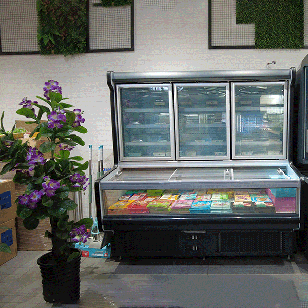 Coolssmann-Refrigeration-showroomCXF-3D
