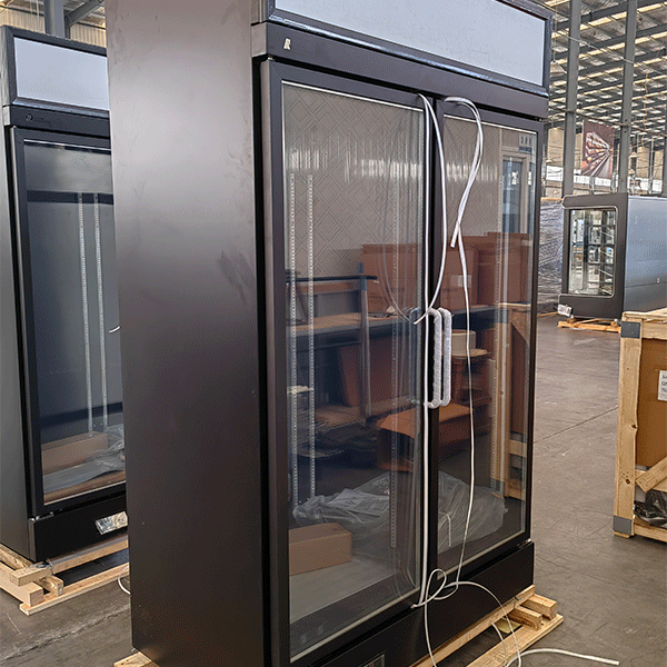 GLASS-DOOR-COOLER-B6